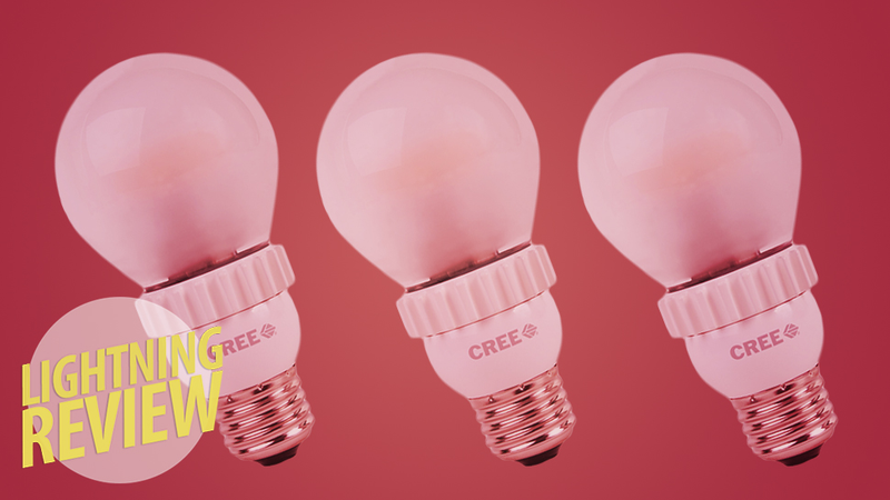 Illustration for article titled Our Favorite Laptops, Cameras, Light Bulbs, and More